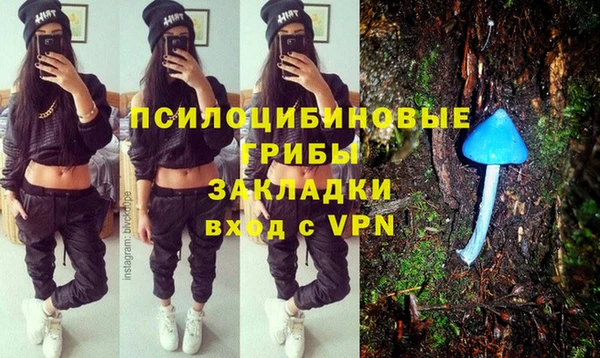 ALPHA PVP Покров