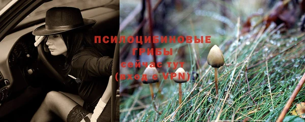 мяу мяу кристалл Арсеньев