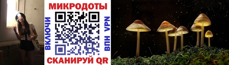 Галлюциногенные грибы Magic Shrooms  купить закладку  Кадников 